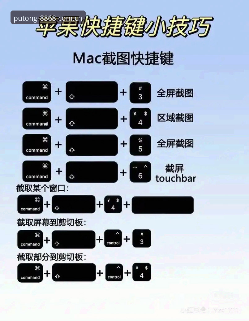 体育苹果下载 8868体育苹果下载使用教程:从入门到精通的正版平台操作指南